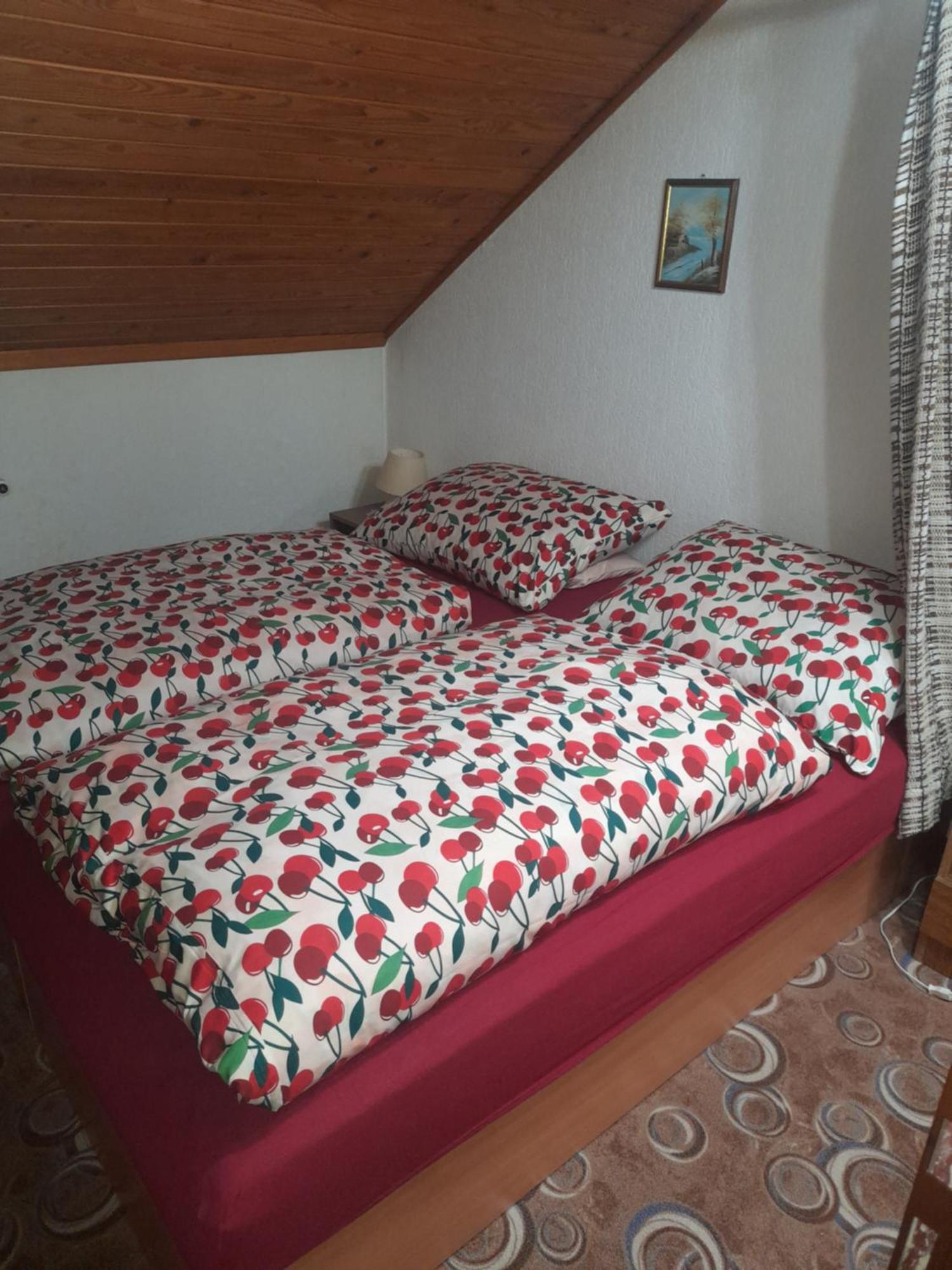 Penzion Krusnohorka Tatrovice Bagian luar foto